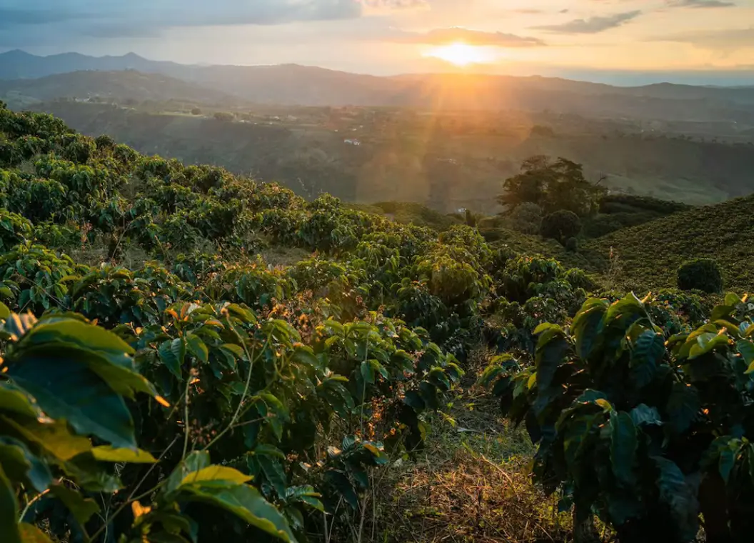 Qué hacer en Departamento de Caldas